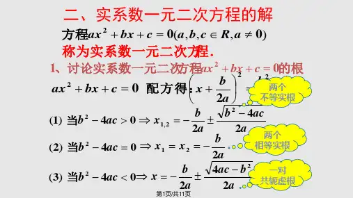 复数集内实系数一元二次方程的根的问题PPT课件