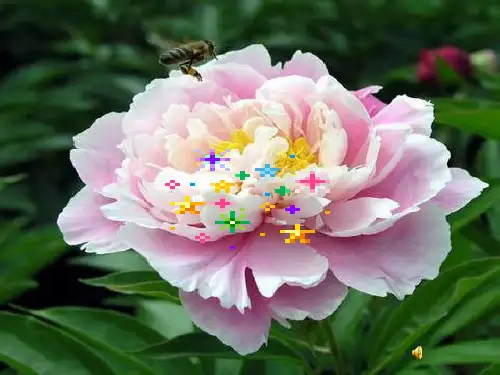 高中地理自然地理环境的整体性-湘教版必修一精品PPT课件