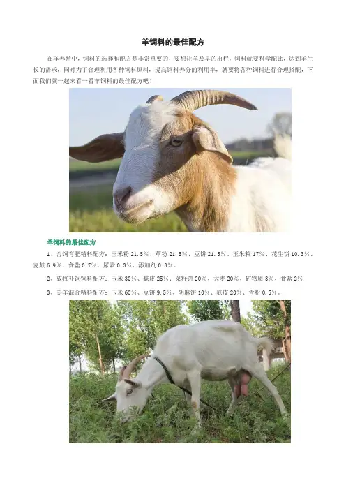羊饲料的最佳配方