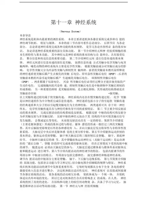 生理学教材第十一章神经系统