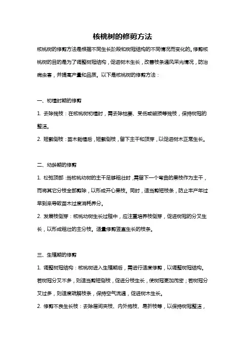 核桃树的修剪方法