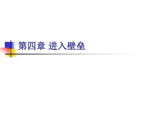 第4章 进入壁垒