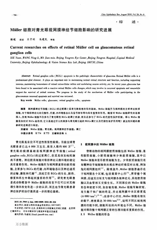 Müller细胞对青光眼视网膜神经节细胞影响的研究进展