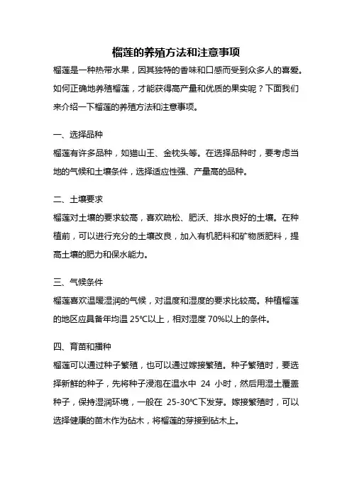 榴莲的养殖方法和注意事项