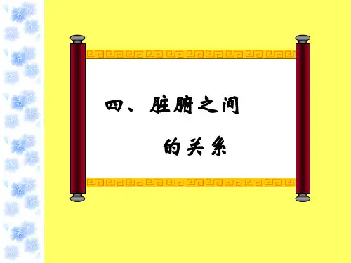 脏腑之间的关系