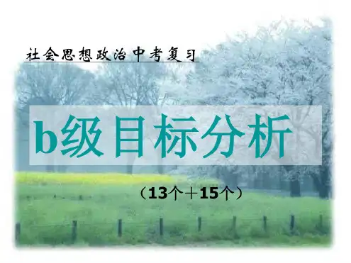 中考政治b级目标课件
