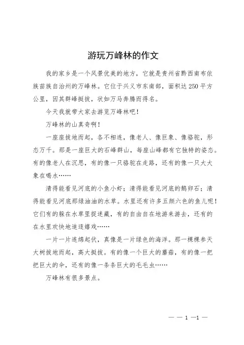 游玩万峰林的作文