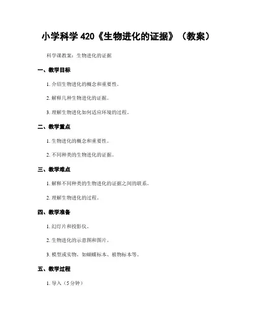 小学科学420《生物进化的证据》(教案)
