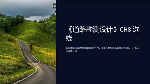 《道路勘测设计》CH8 选线