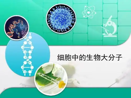 苏教版高中生物必修1 2.2《细胞中的生物大分子》知识表格