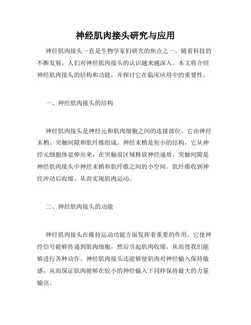神经肌肉接头研究与应用