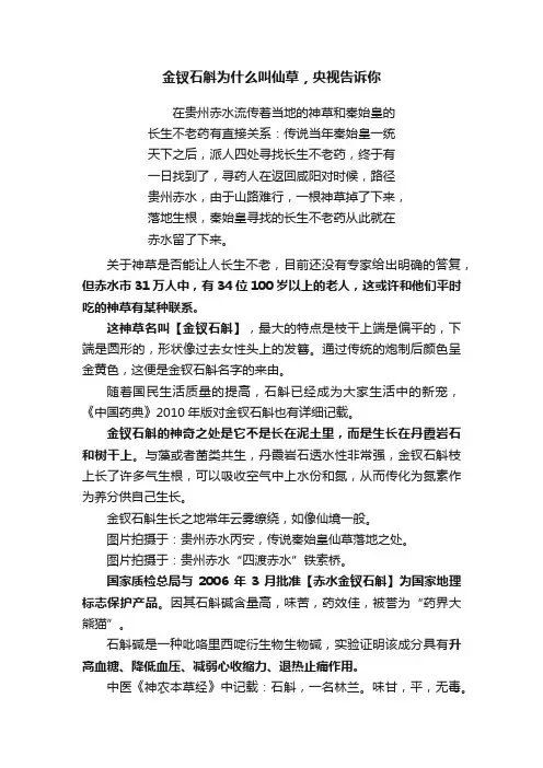 金钗石斛为什么叫仙草，央视告诉你