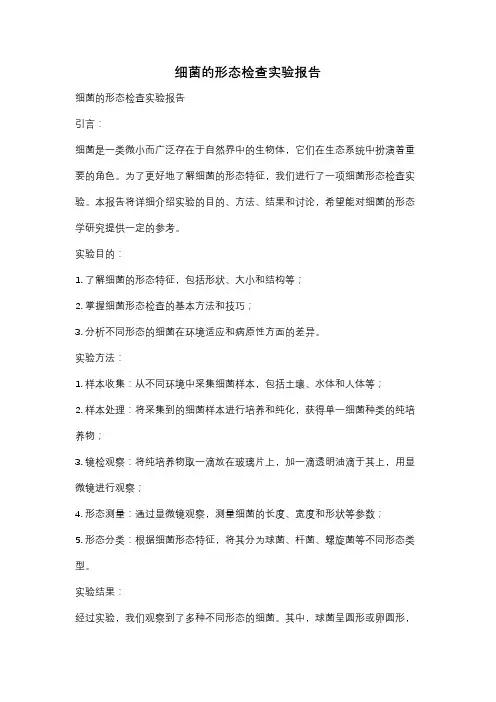 细菌的形态检查实验报告
