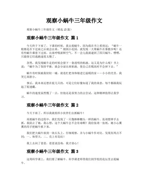 观察小蜗牛三年级作文