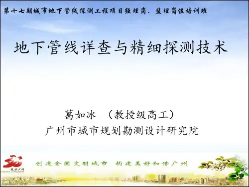 地下管线详查与精细探测技术-葛如冰2019(1)