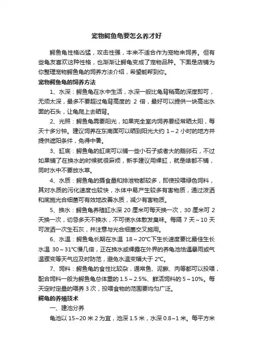 宠物鳄鱼龟要怎么养才好