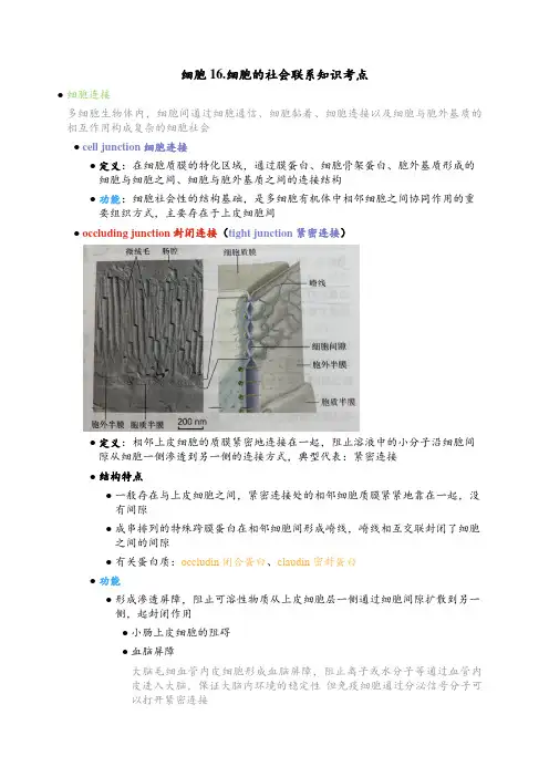细胞16.细胞的社会联系知识考点
