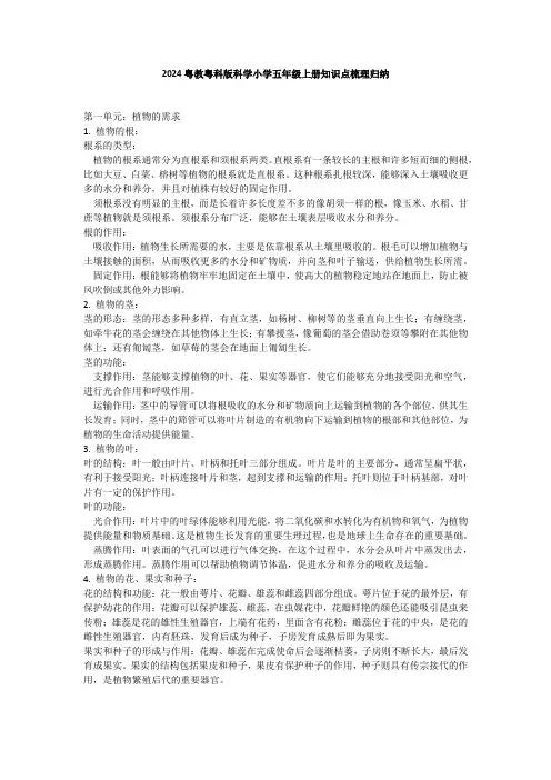 2024粤教粤科版科学小学五年级上册知识点梳理归纳