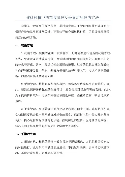 核桃种植中的花果管理及采摘后处理的方法