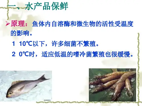 水产品保鲜加工技术概述