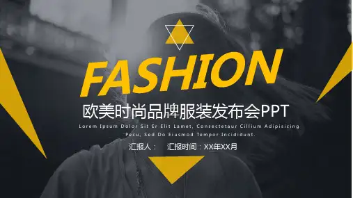商业计划书PPT目标模板(4套)