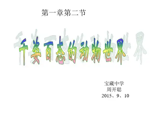 千姿百态的动物世界完美PPT演示文稿