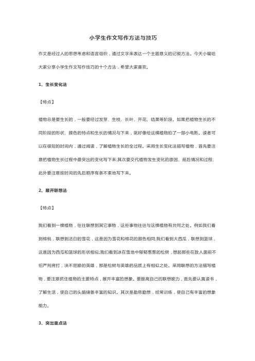 小学生作文写作方法与技巧