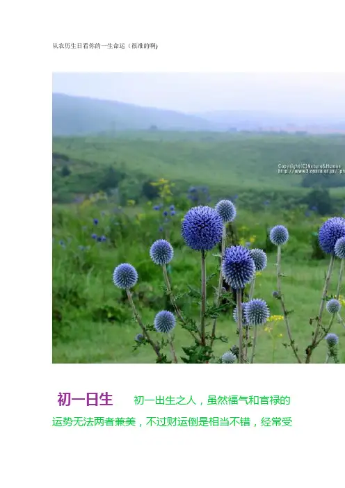 从农历生日看你的一生命运(很准的啊)