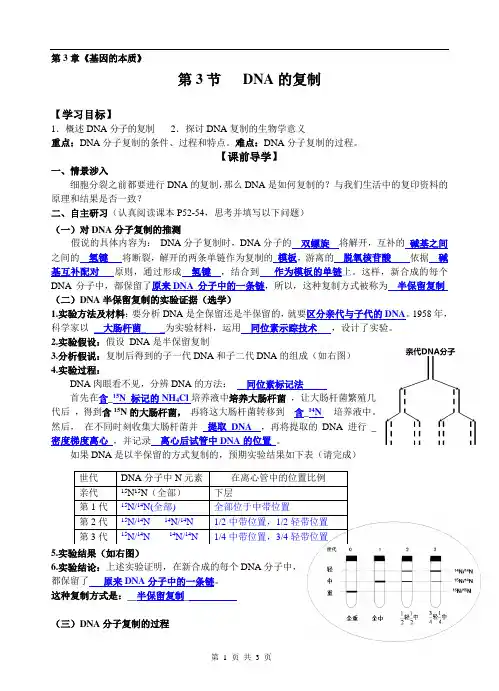 高一生物人教版必修二第三章第3节 DNA的复制 学案