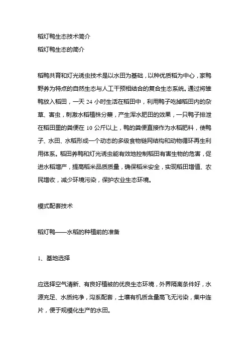 稻灯鸭生态技术简介