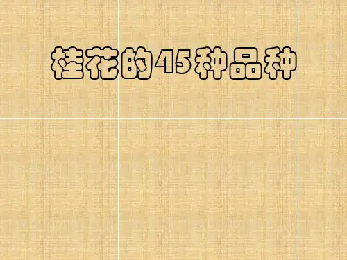 桂花的45种品种