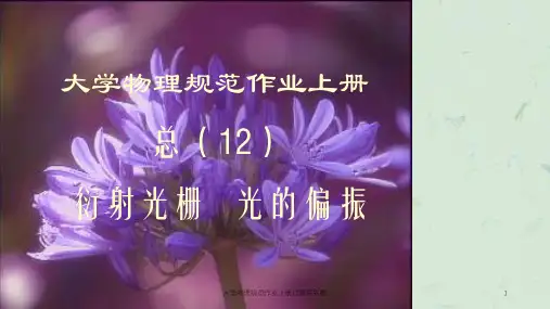 大学物理规范作业上册12解答完整课件