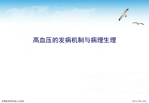 高血压的发病机制与病理生理