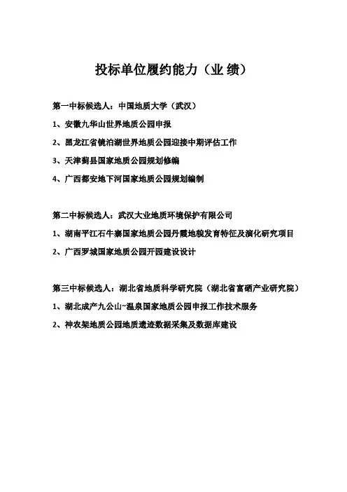 投标单位履约能力(业绩)