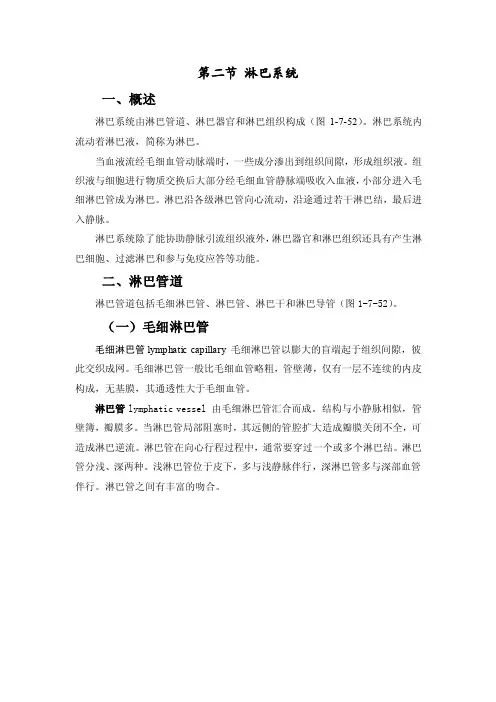 淋巴系统——精选推荐