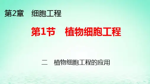 新教材高中生物第2章第1节植物细胞工程二植物细胞工程的应用pptx课件新人教版选择性必修3