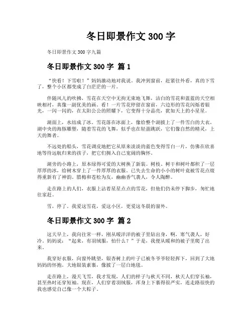 冬日即景作文300字