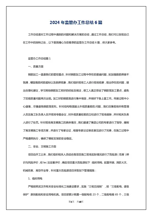 2024年监管办工作总结6篇