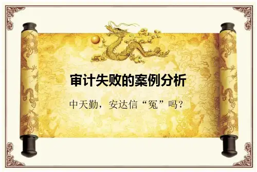 《审计失败案例分析》