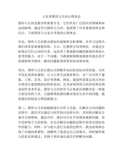 王东青图形与几何心得体会