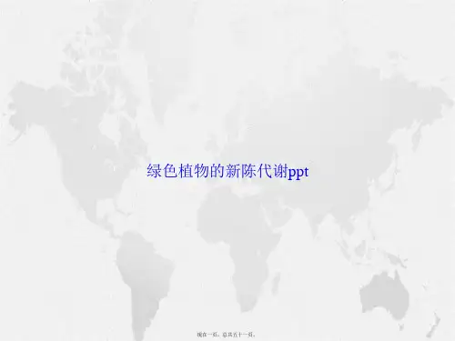 绿色植物的新陈代谢ppt讲课文档