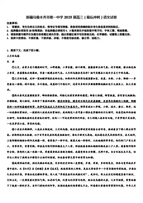 新疆乌鲁木齐市第一中学2025届高三(最后冲刺)语文试卷含解析