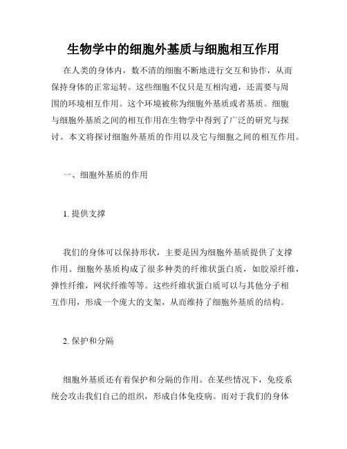 生物学中的细胞外基质与细胞相互作用