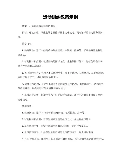 运动训练教案示例