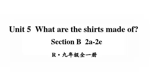 人教新目标版九全英语Unit 5 第5课时(B 2a-2e)