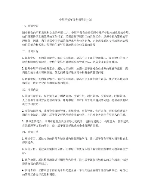 中层干部年度专项培训计划