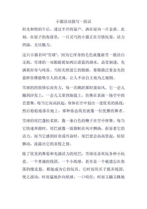 小猫活动描写一段话