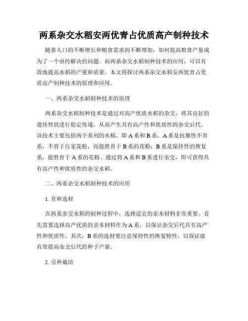 两系杂交水稻安两优青占优质高产制种技术
