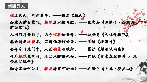 《桃花源记》ppt课件