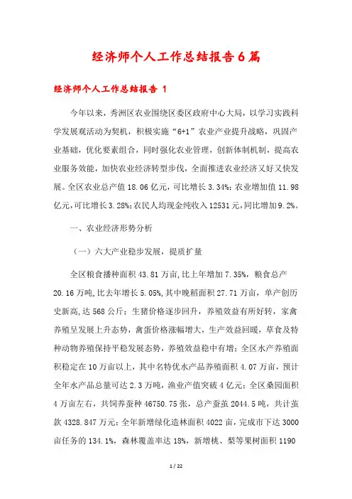经济师个人工作总结报告6篇